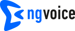 ng-voice